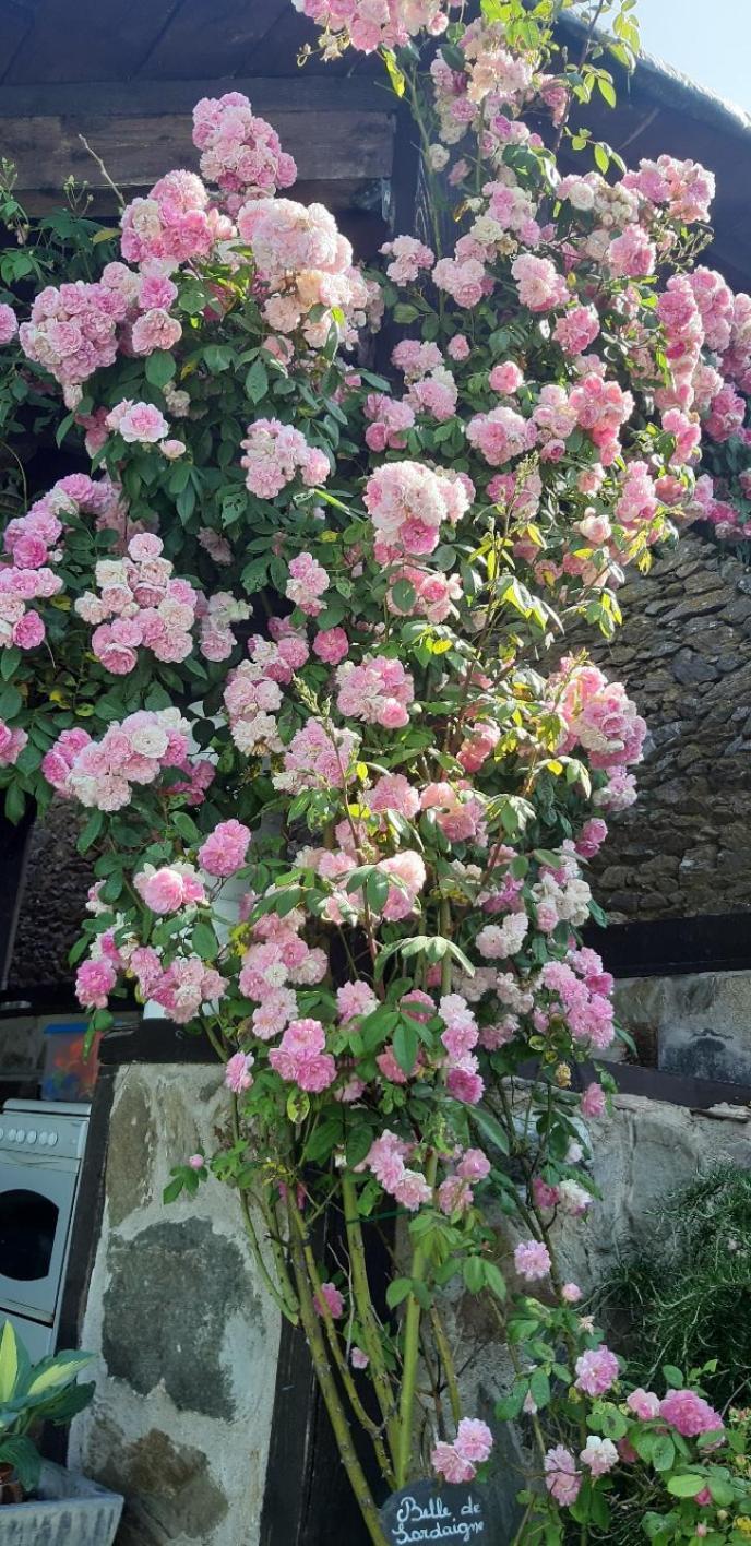 Louradou-Sur-Ciel Bed & Breakfast Jouqueviel Exterior photo