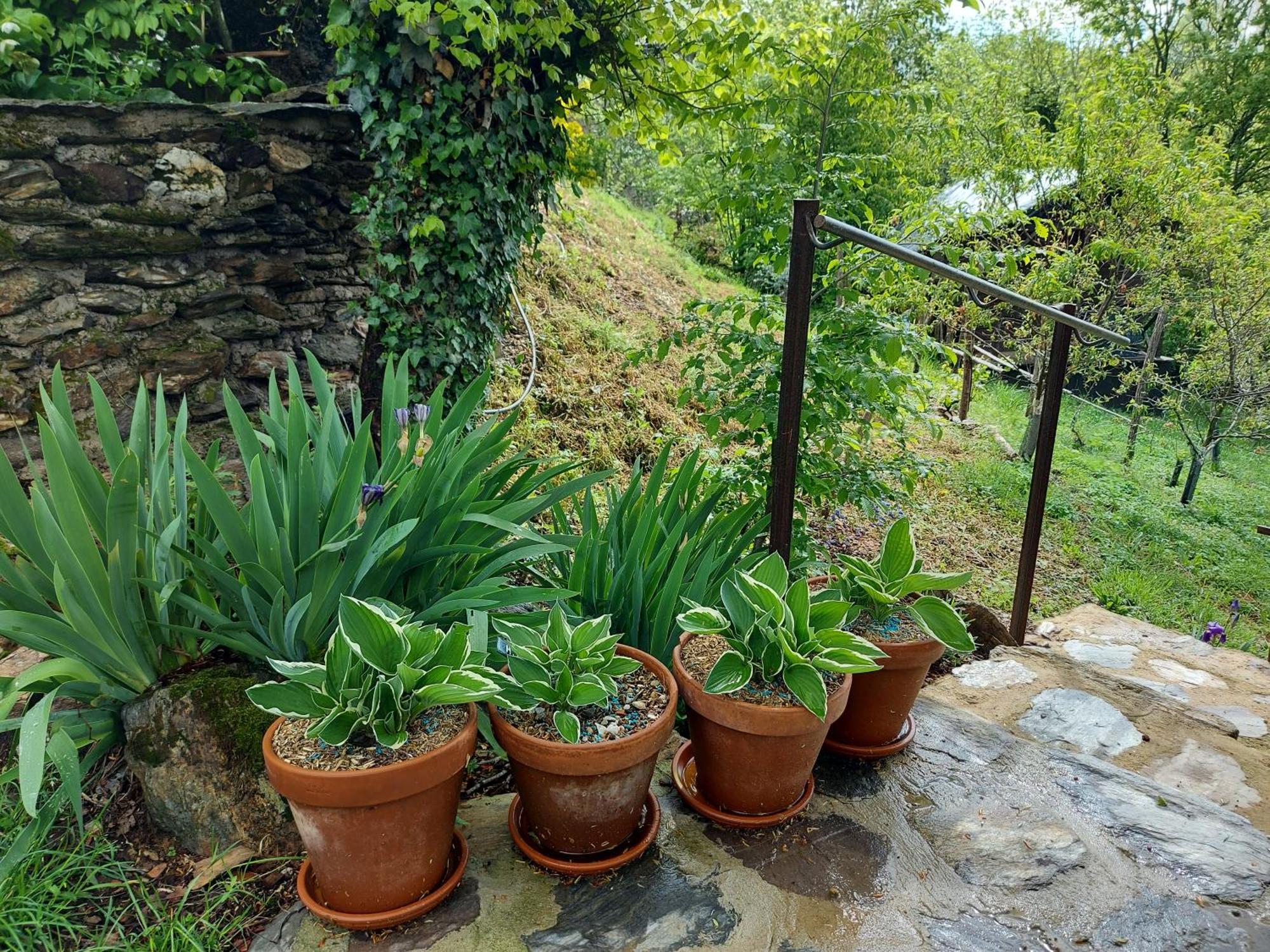 Louradou-Sur-Ciel Bed & Breakfast Jouqueviel Exterior photo